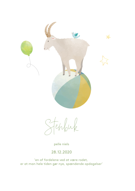 /site/resources/images/card-photos/card/Stenbuk dreng/3a9e68dcbb4e0674ca642b402e884bf2_card_thumb.png